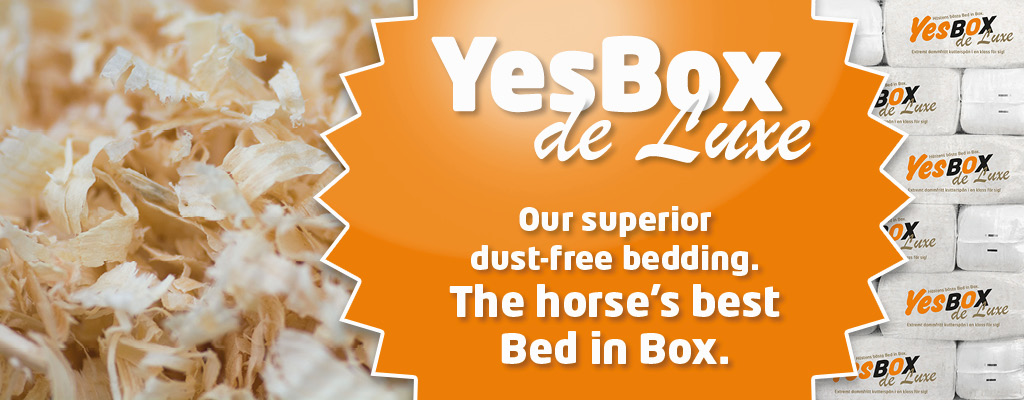 YesBox deLuxe completely dust-free bedding