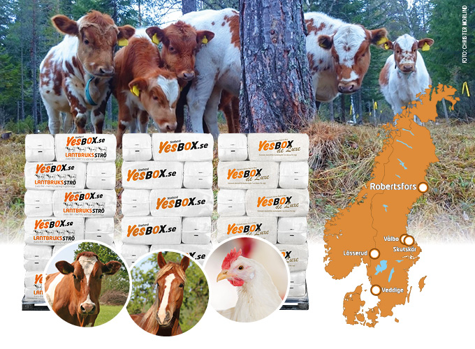 YesBox satsar på Norrland